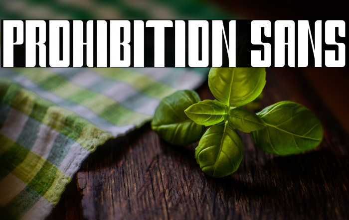 Prohibition Sans Example 1