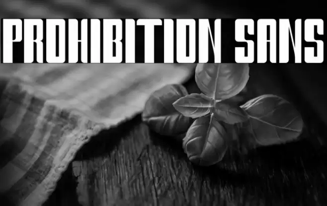 Prohibition Sans Font examples