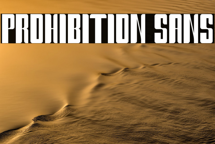 Prohibition Sans Example 2