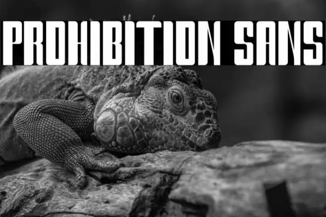 Prohibition Sans Font examples