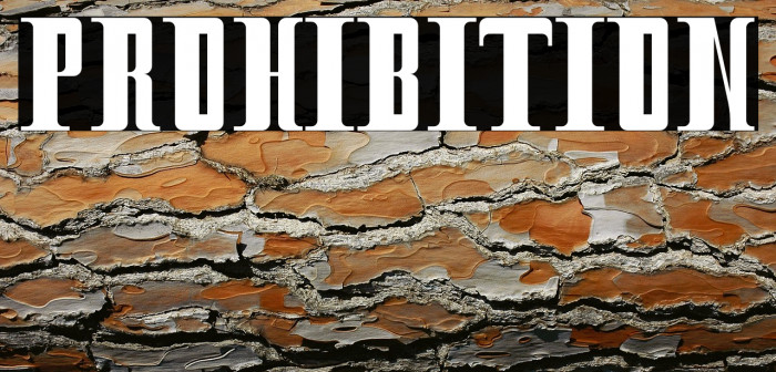 Prohibition Example 1