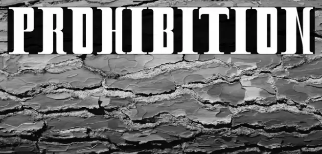 Prohibition Font examples