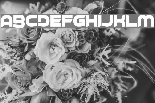 Project H Font examples