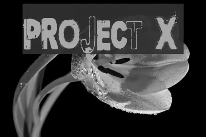 Project X Font examples