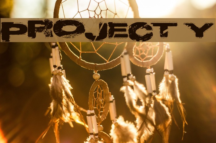Project Y Font examples