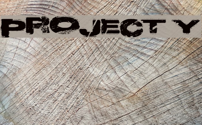 Project Y Font examples