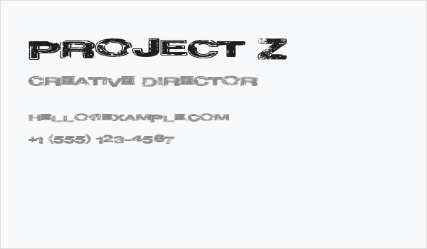 Project Z Business Card