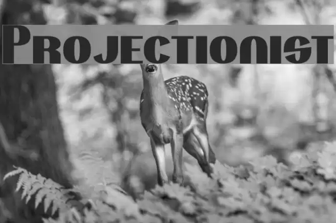 Projectionist Font examples