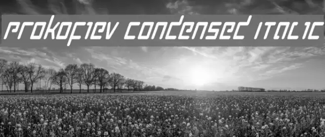 Prokofiev Condensed Italic Font examples