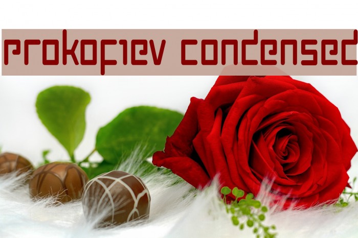 Prokofiev Condensed Font examples