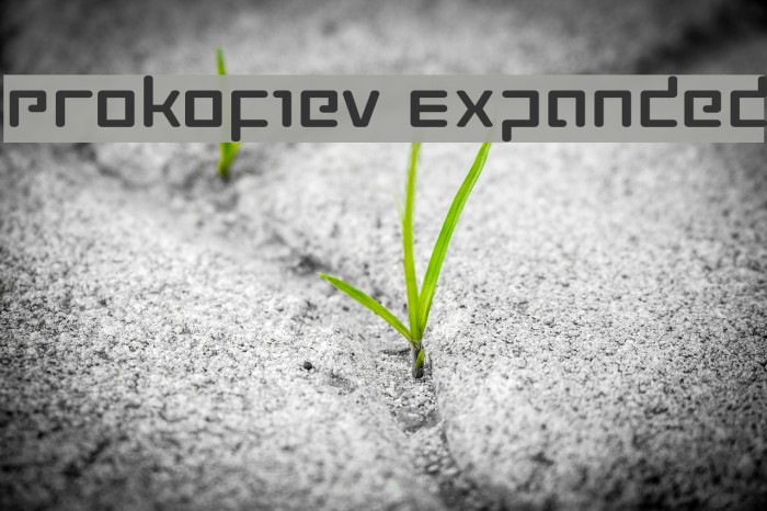 Prokofiev Expanded Font examples