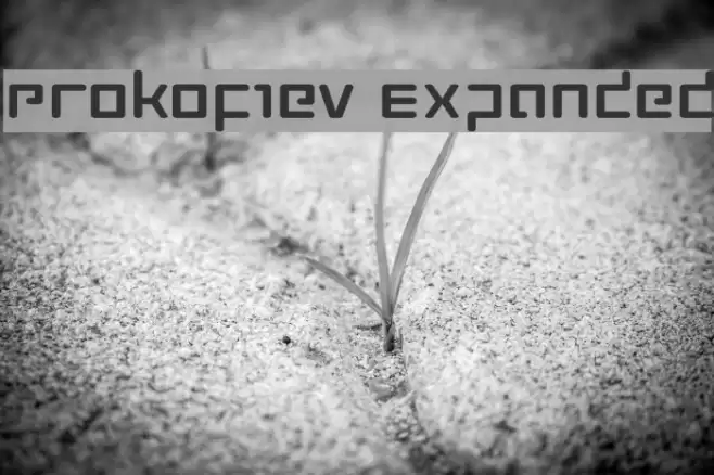 Prokofiev Expanded Schriftart examples