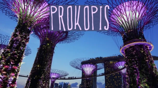 Prokopis Example 1