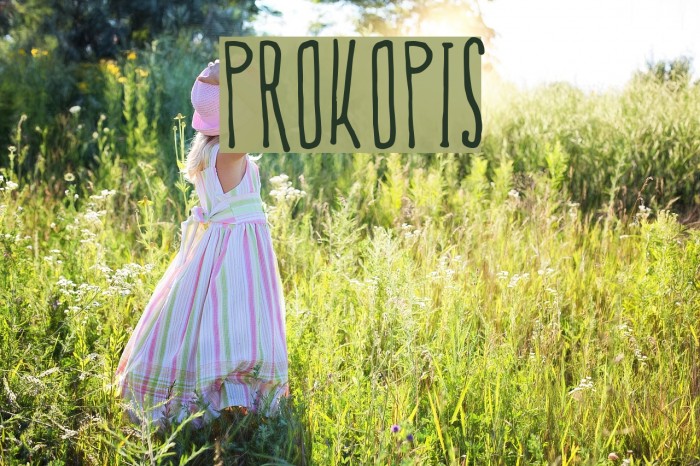 Prokopis Font examples