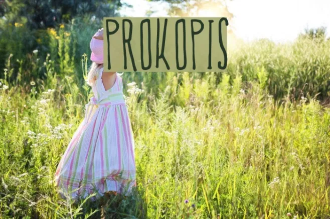 Prokopis Example 2