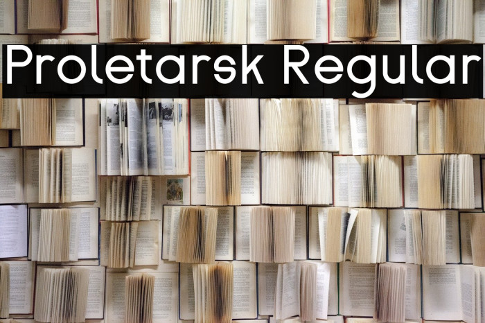 Proletarsk Regular Example 1