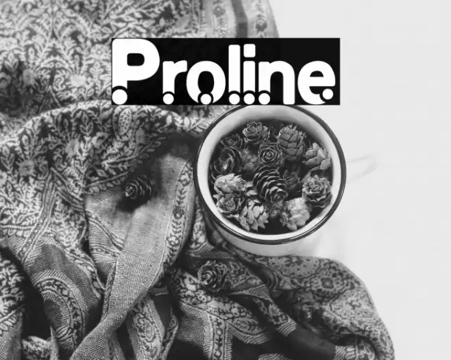 Proline Font examples