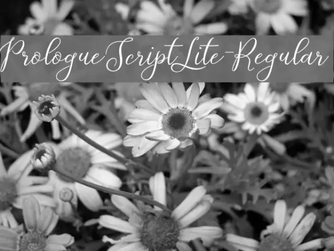 PrologueScriptLite-Regular Font examples