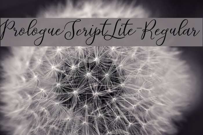 PrologueScriptLite-Regular Font examples