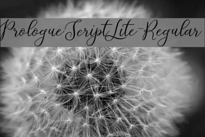 PrologueScriptLite-Regular Font examples