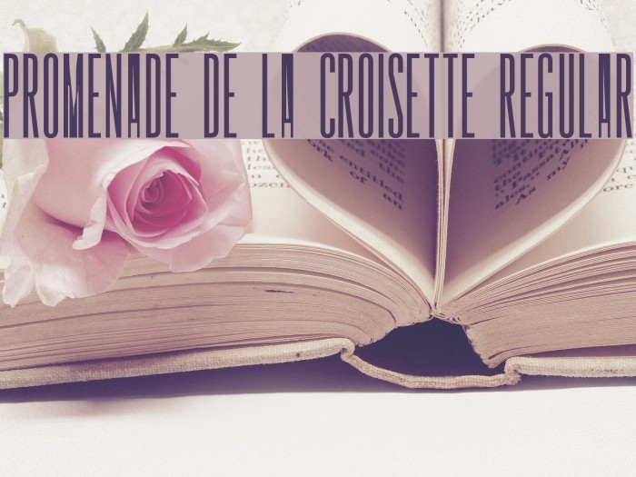 Promenade de la Croisette Regular Font examples