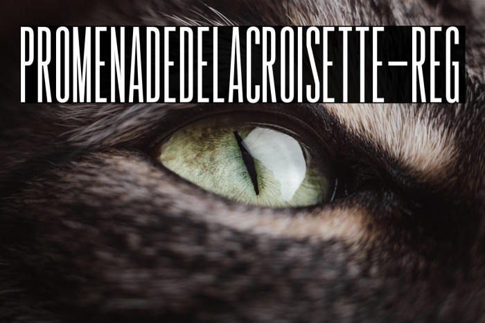 PromenadedelaCroisette-Reg Example 2