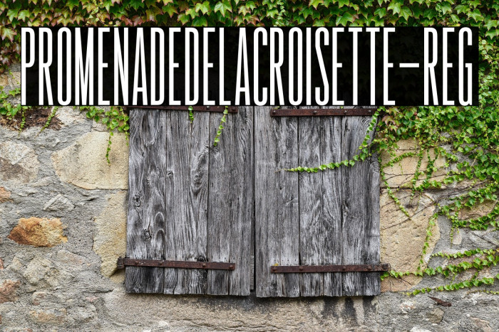 PromenadedelaCroisette-Reg Example 3