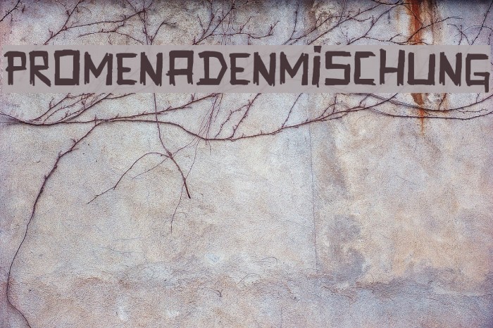 Promenadenmischung Font examples