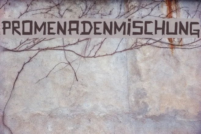 Promenadenmischung Example 1