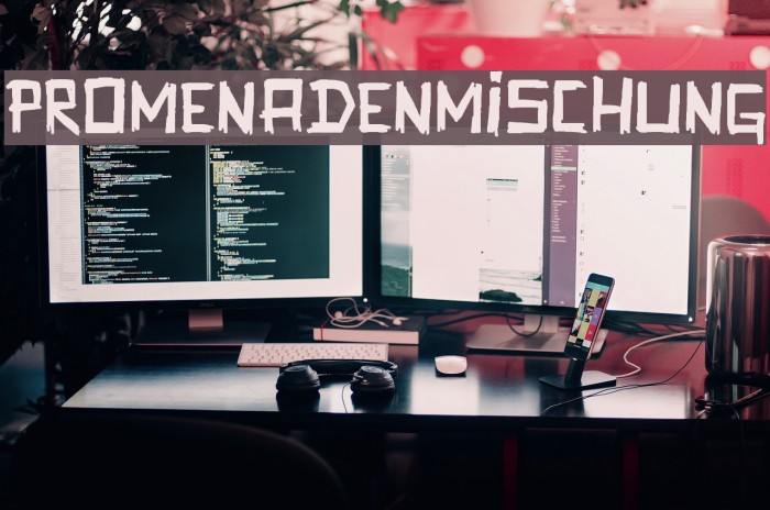Promenadenmischung Font examples