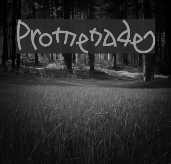 Promenades Polices examples