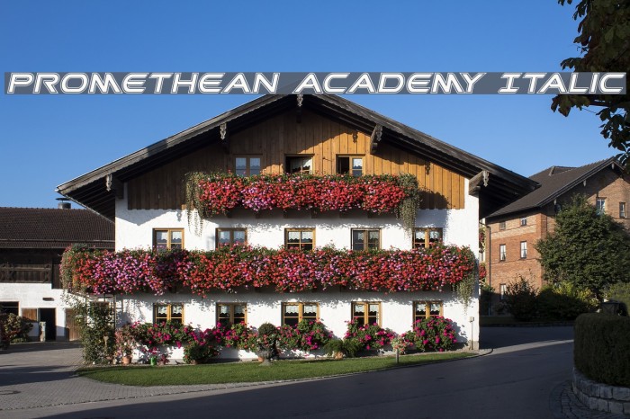 Promethean Academy Italic Example 1