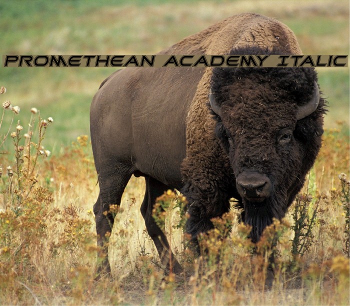 Promethean Academy Italic Example 3