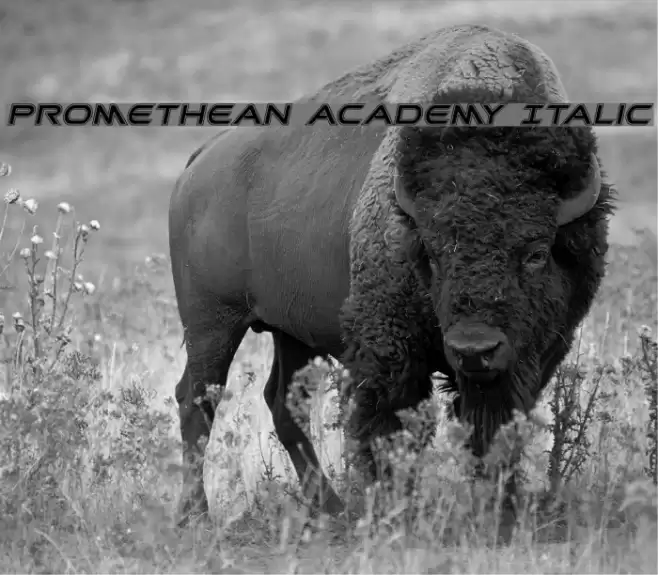 Promethean Academy Italic Font examples