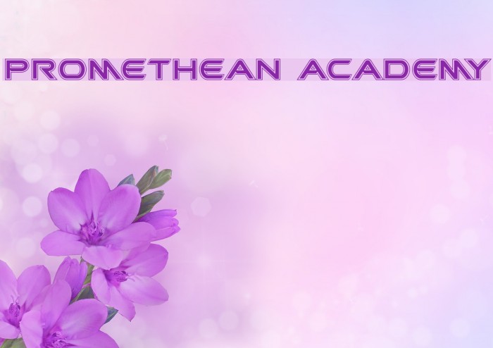 Promethean Academy Example 2