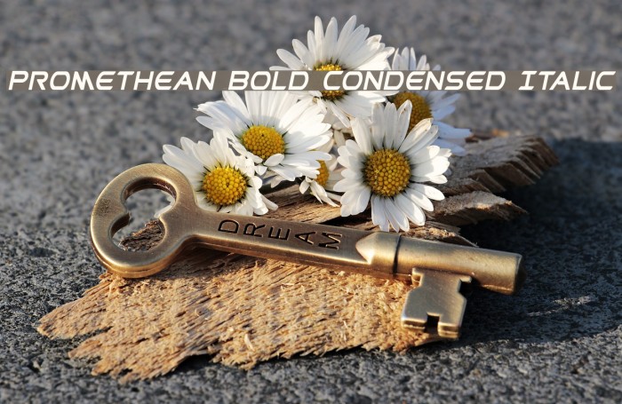 Promethean Bold Condensed Italic Example 1