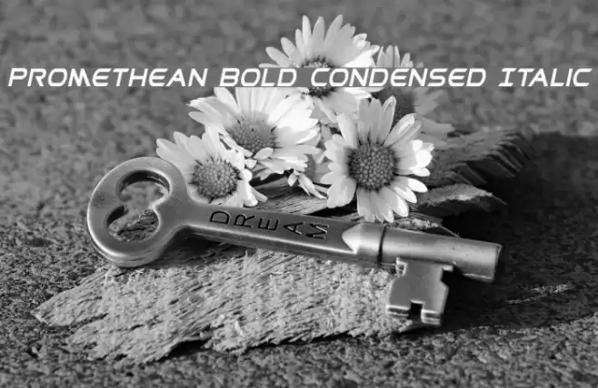 Promethean Bold Condensed Italic Font examples