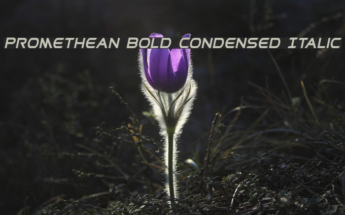 Promethean Bold Condensed Italic Example 2