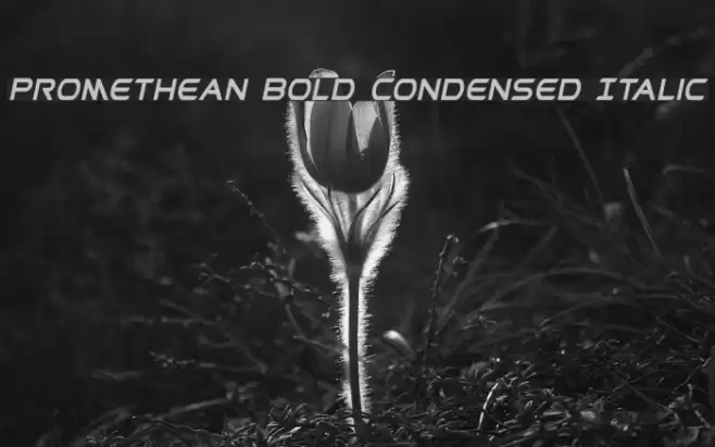 Promethean Bold Condensed Italic Font examples