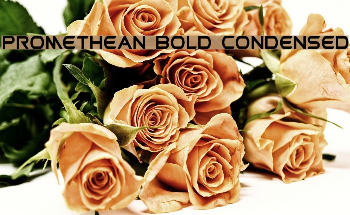 Promethean Bold Condensed Font examples