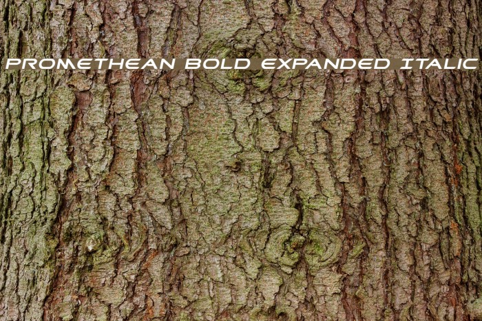 Promethean Bold Expanded Italic Font examples