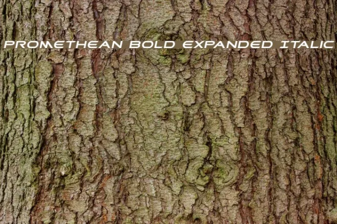 Promethean Bold Expanded Italic Example 2