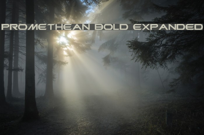 Promethean Bold Expanded Font examples