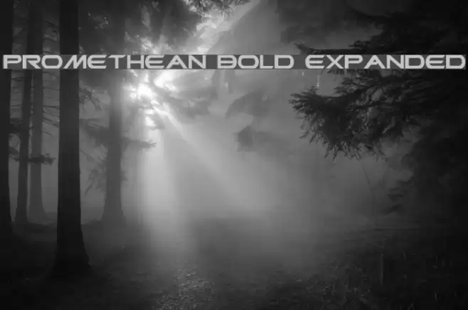 Promethean Bold Expanded Font examples