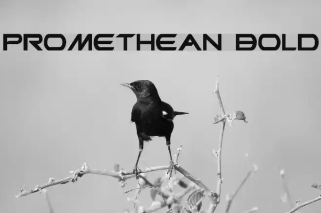 Promethean Bold Font examples