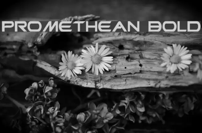 Promethean Bold Font examples