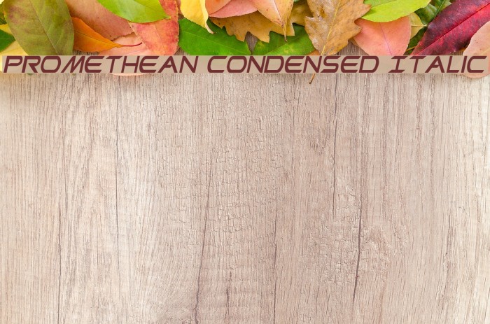 Promethean Condensed Italic Font examples