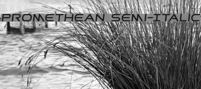Promethean Semi-Italic Font examples