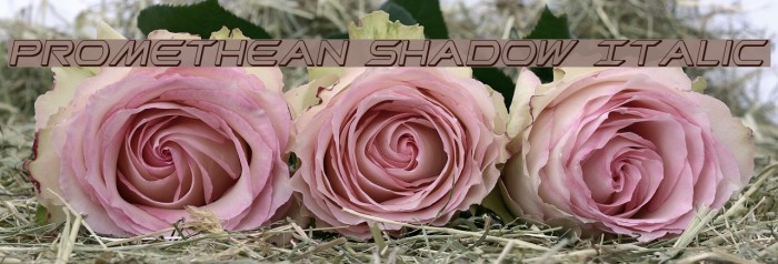Promethean Shadow Italic Font examples