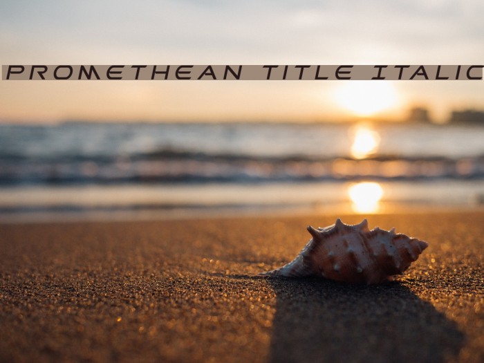 Promethean Title Italic Font examples